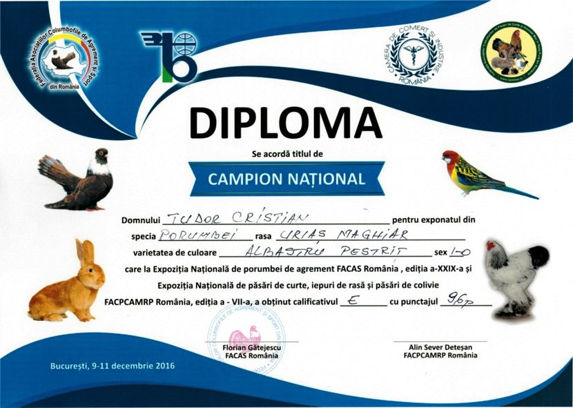 diploma - EXPO NATIONALA BUCURESTI 2016