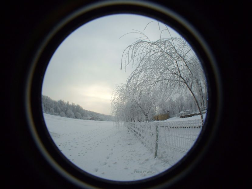  - iarna prin lentila