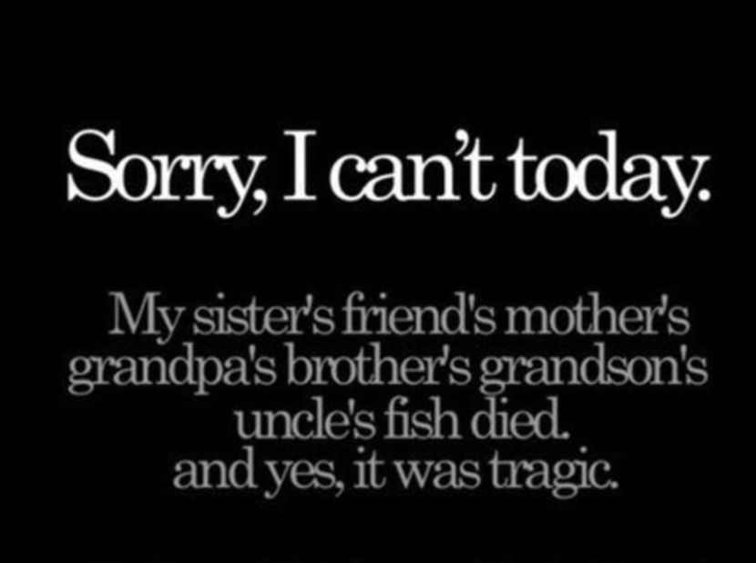 a253a637697df044803d1cb75f8f8885