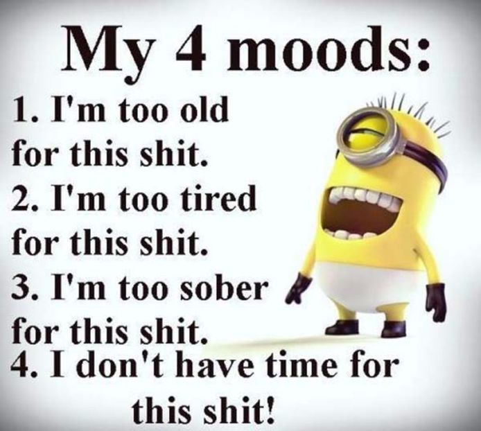 Funny-Minions-quotes-new-9 - Quotes