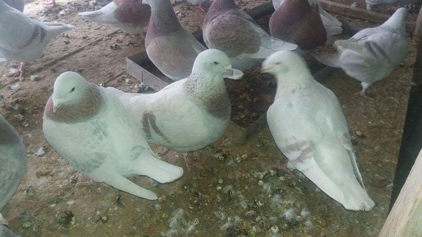 received_1921768378057928