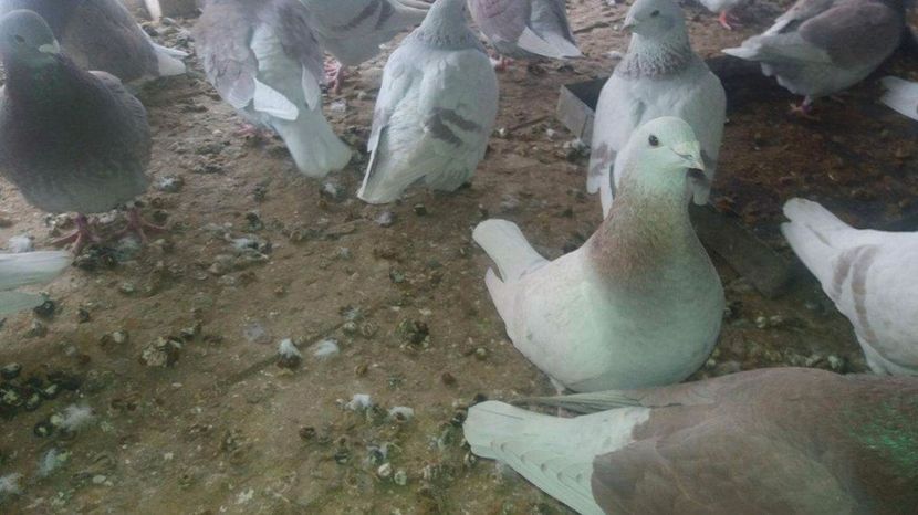 received_1921768224724610