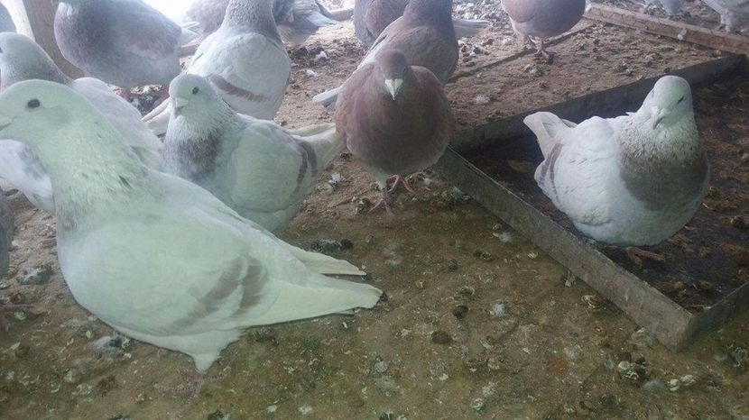 received_1921768078057958