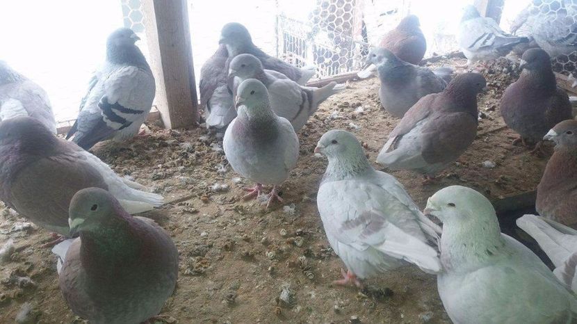 received_1921768104724622