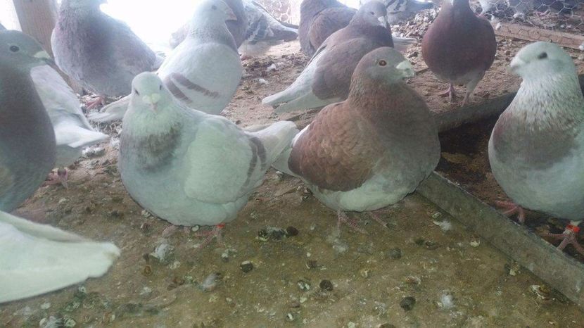 received_1921767868057979