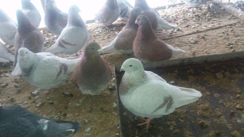 received_1921767568058009