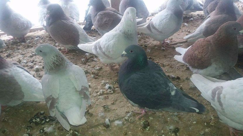 received_1921767164724716