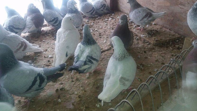 received_1921766511391448