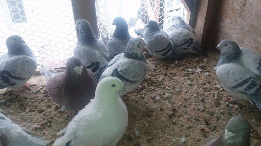 received_1921766308058135