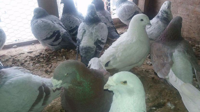 received_1921766064724826