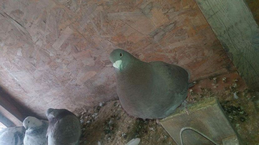 received_1921765908058175