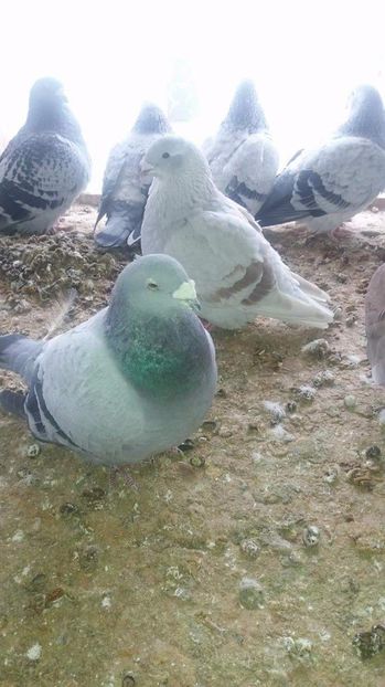 received_1921765321391567