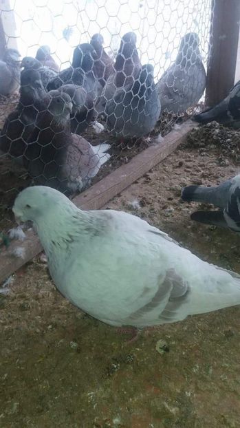 received_1921764964724936