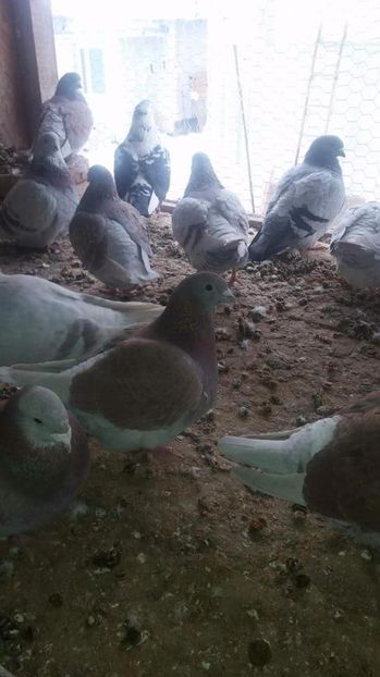 received_1921764624724970