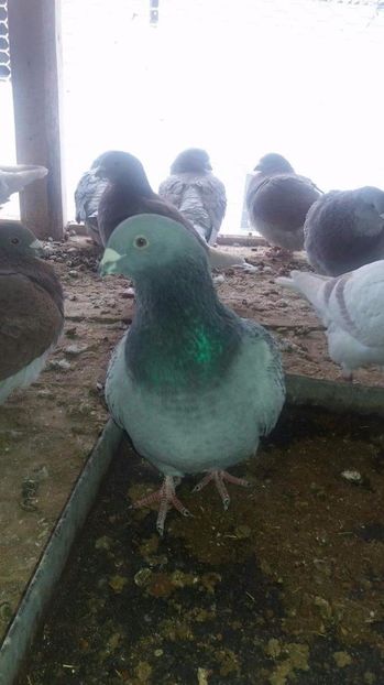 received_1921764451391654