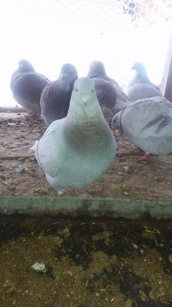 received_1921764428058323