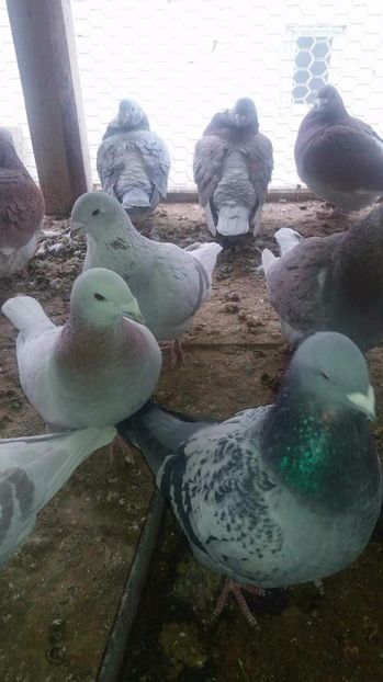 received_1921764331391666