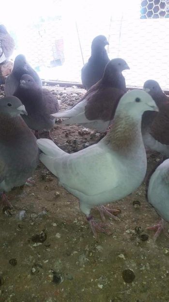 received_1921764354724997