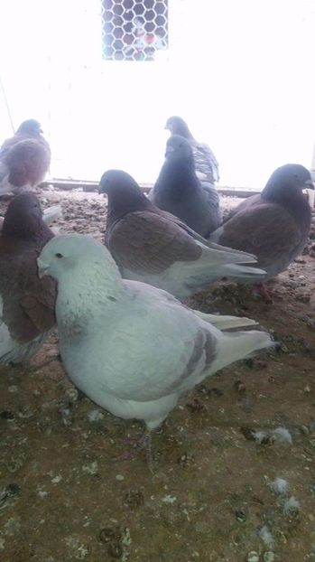 received_1921764021391697