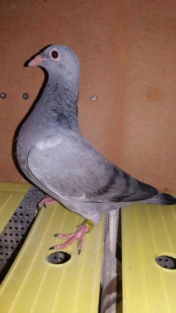 received_1104046113018976