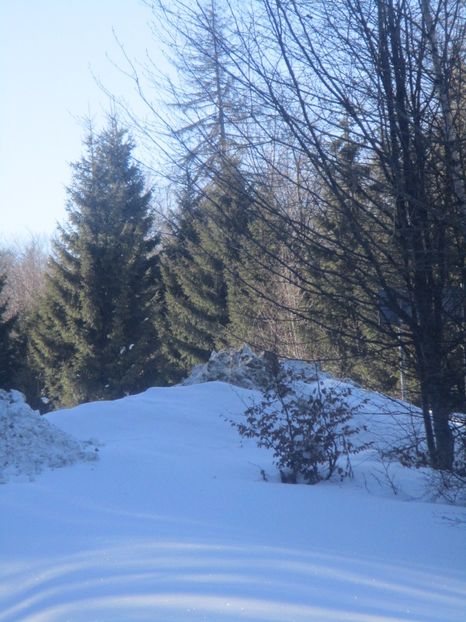  - Straja
