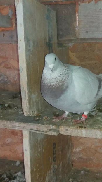 received_1922871181280981