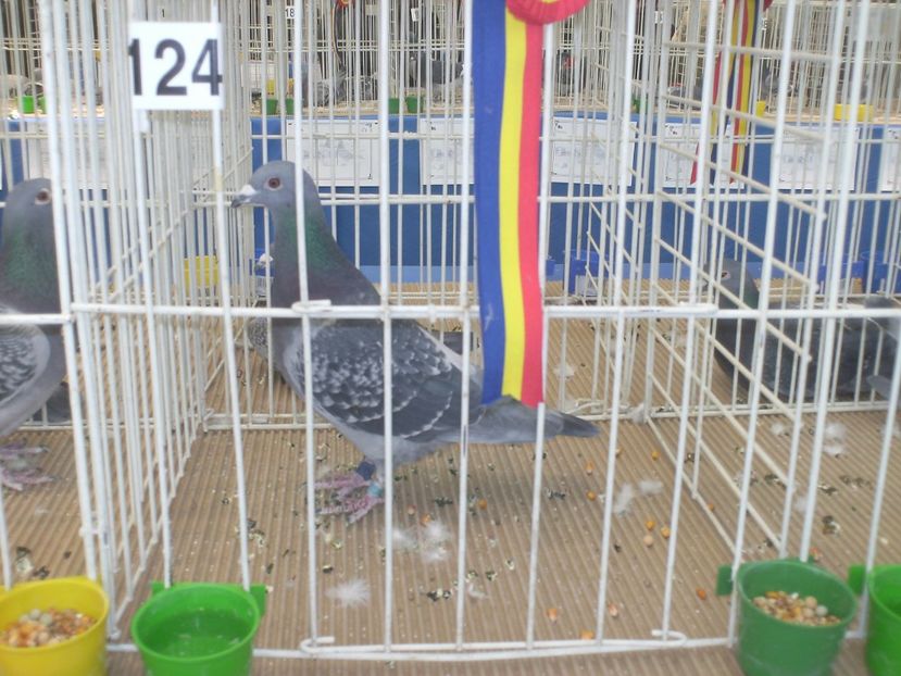 PICT0301