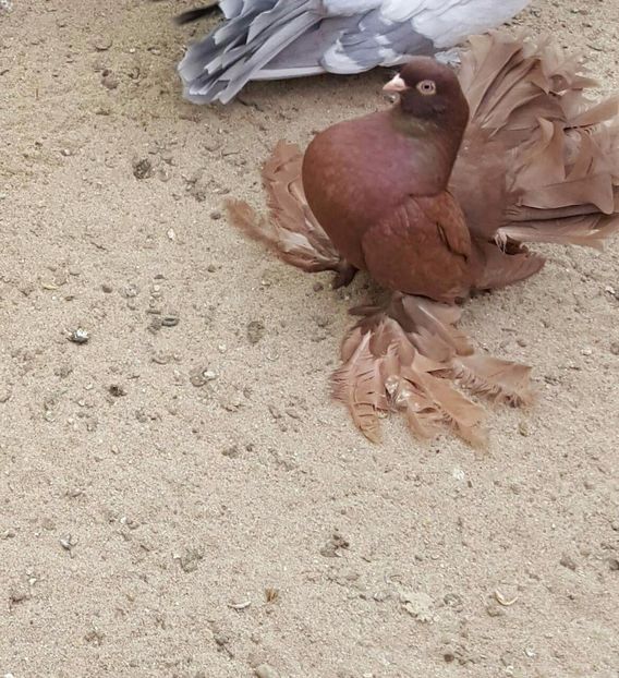 received_1072408719548384