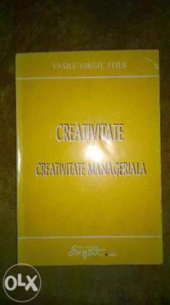 Creativitate Manageriala  (1)