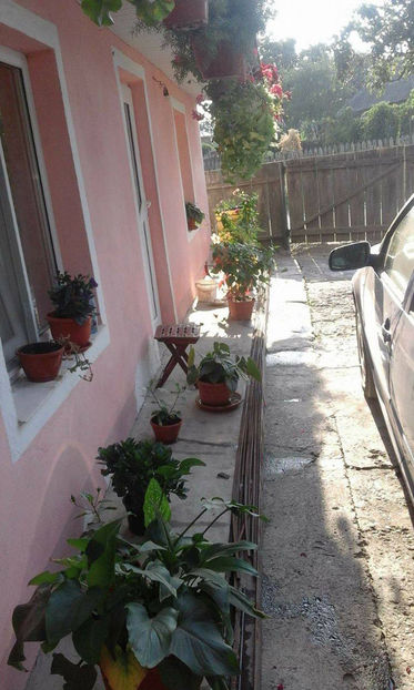 16231347_1315684888506391_1171950437_o