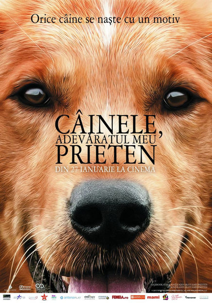 din 27 ian,  A Dog's Purpose (2017) - Filme in curand