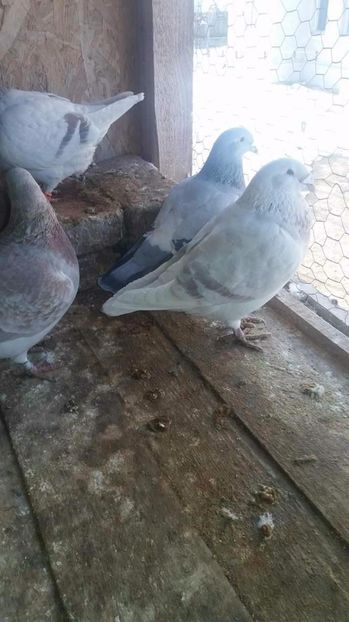 received_1923582984543134