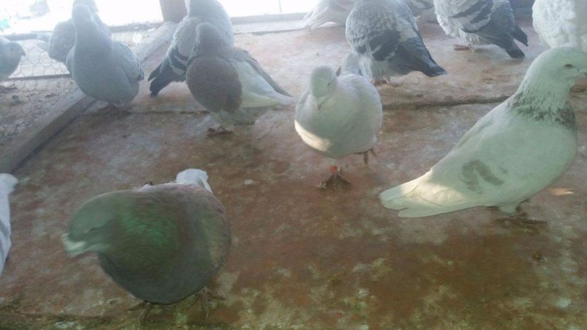 received_1923581604543272