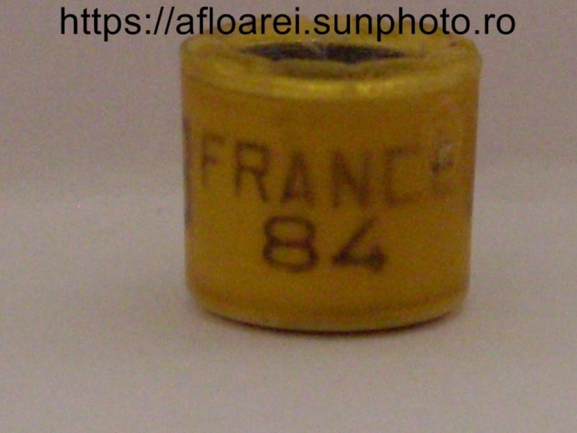 france 84 - FRANTA