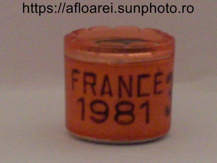 france 1981 - FRANTA