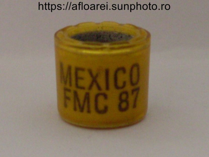mexico fmc 87 - MEXIC