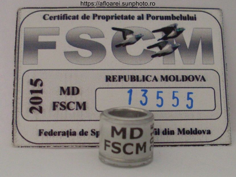 md fscm 2015 - MOLDOVA-MD