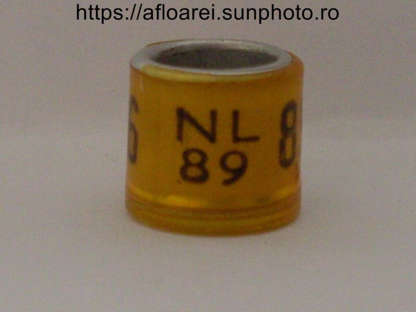 nl 89 - OLANDA GOLD