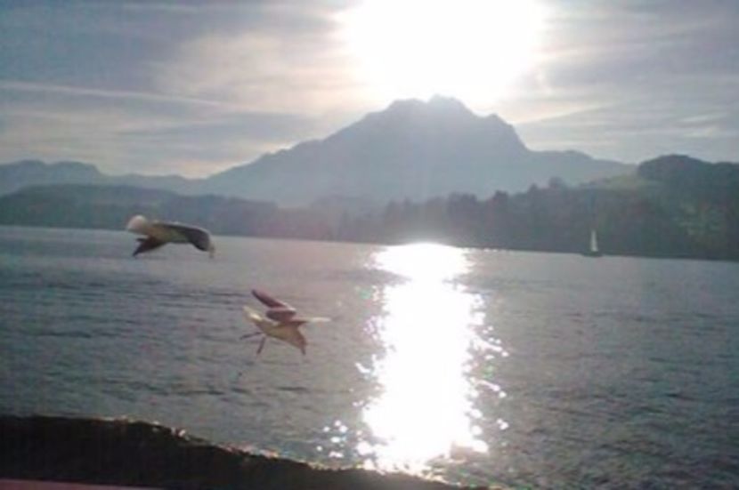 New_1_oie_7145345ekEY8JrX