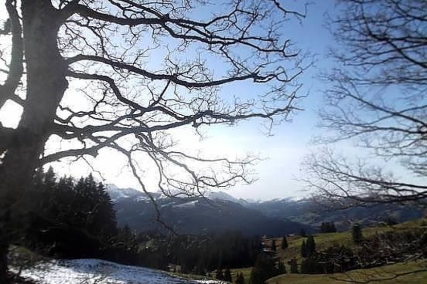 oie_14182734kt9g5sP9