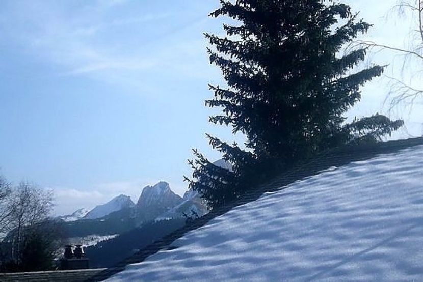 oie_14183214ZLDx5THo