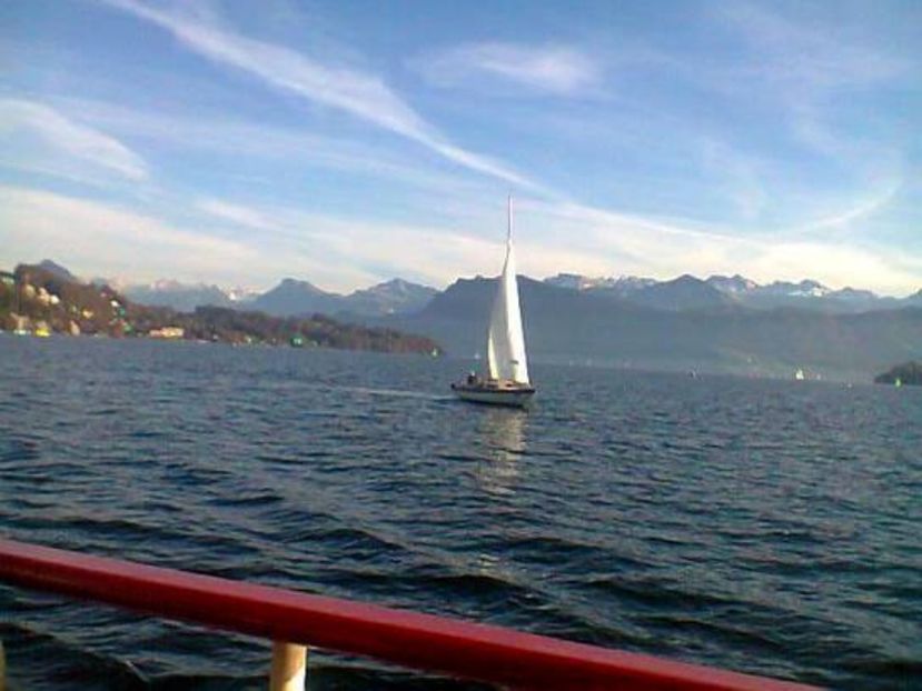 oie_14185030ng8j4WSD