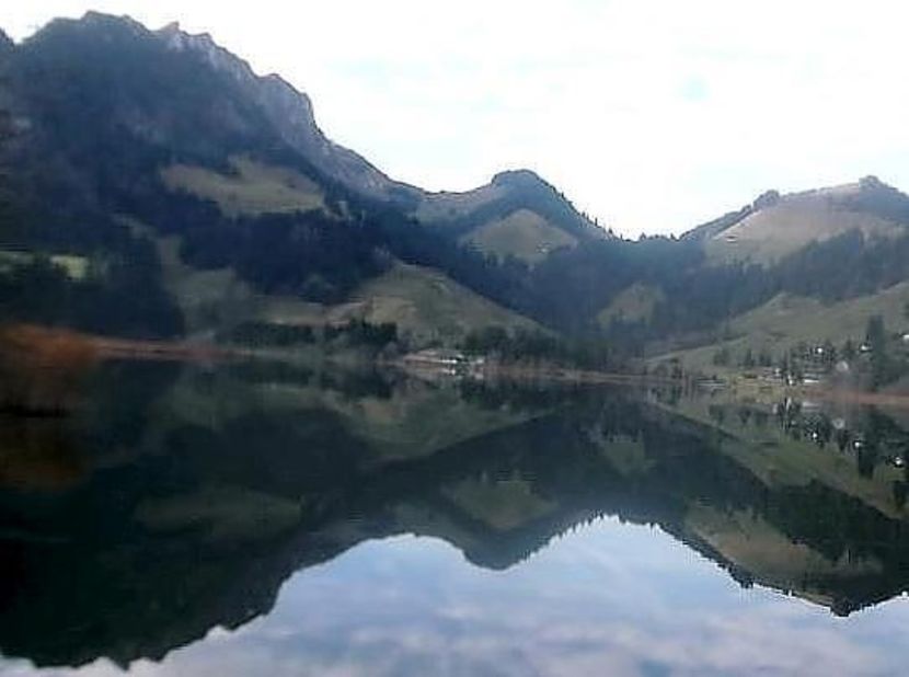 oie_14201238G2OAQCRD