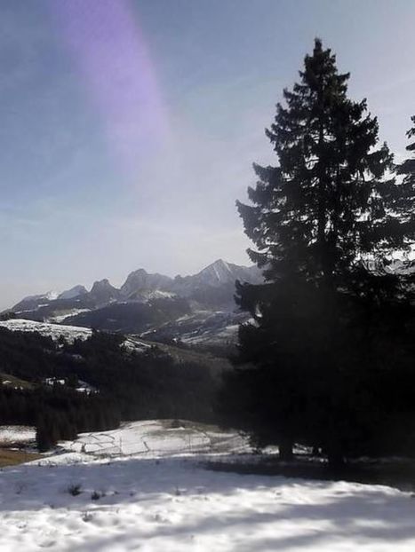 oie_14195527trRqlfdR