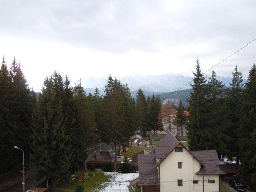 PREDEAL HOTEL BELVEDERE 27 NOV (3) - MINIVACANTA