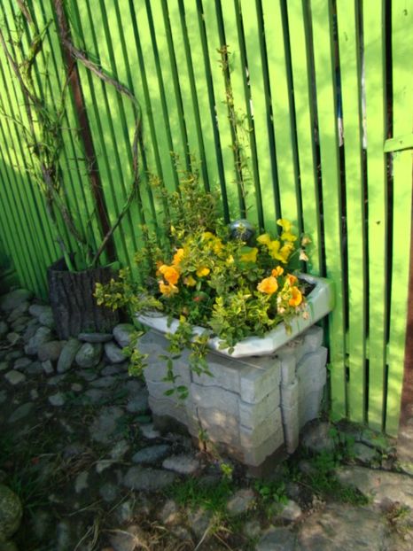  - Fosta mea gradina 2017