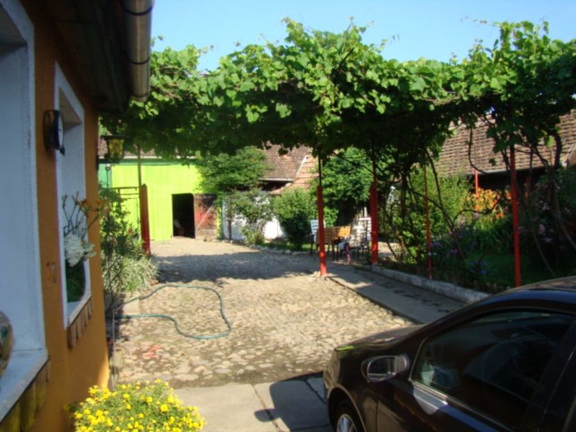  - Fosta mea gradina 2017