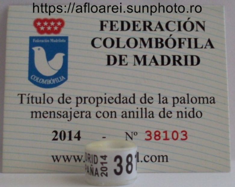 MADRID 2014 - MADRID