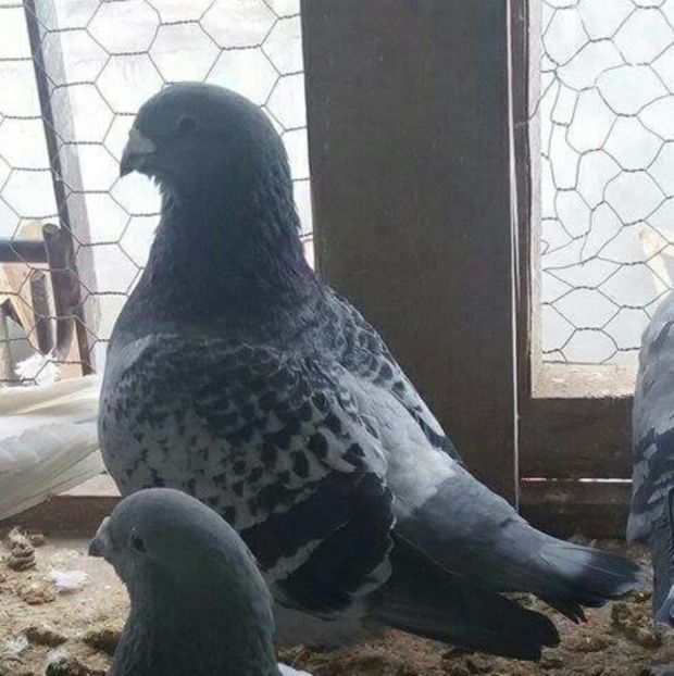 received_1922871777947588-1