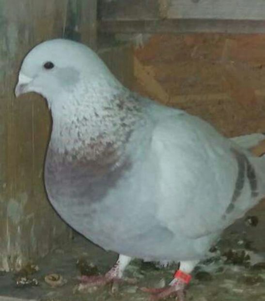 received_1922871237947642-1